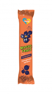 Пастила зі смородини Magic Fruit